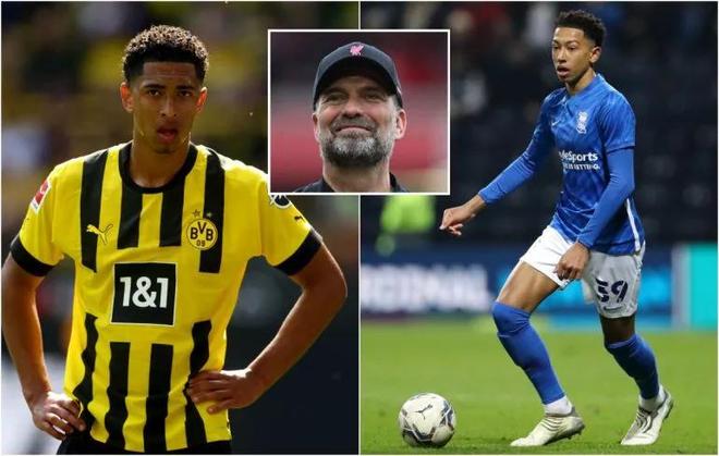 声在绿意环 声在绿意环